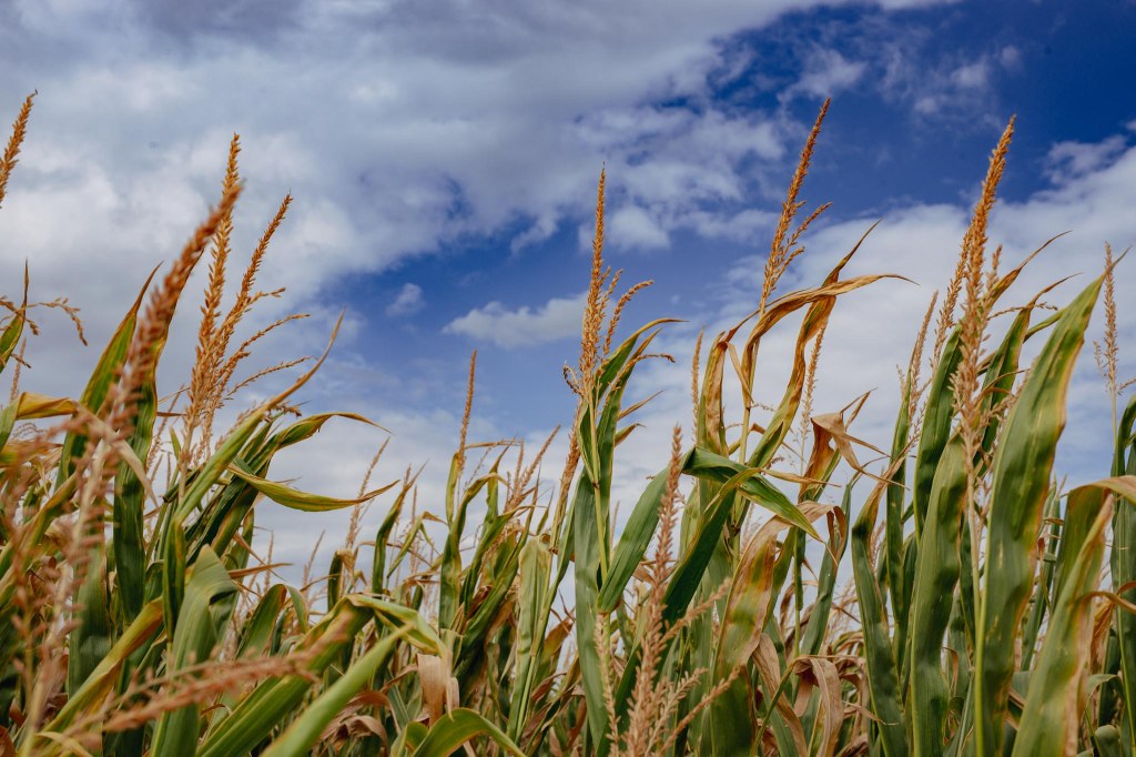 Kleine Runde an einem Sommernachmittag